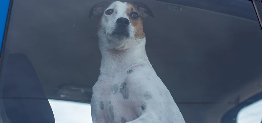 Car Lockout Solutions in Lafayette, California